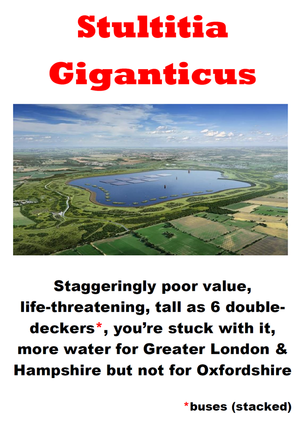 Stultitia Giganticus